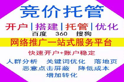 SEM推广策略：成功案例解析与效果评估